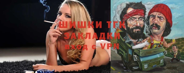 гашик Тайга