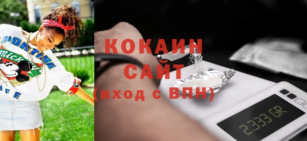 трава Сясьстрой