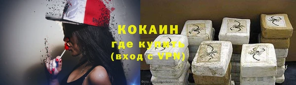 гашик Тайга