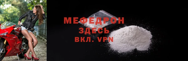 гашик Тайга