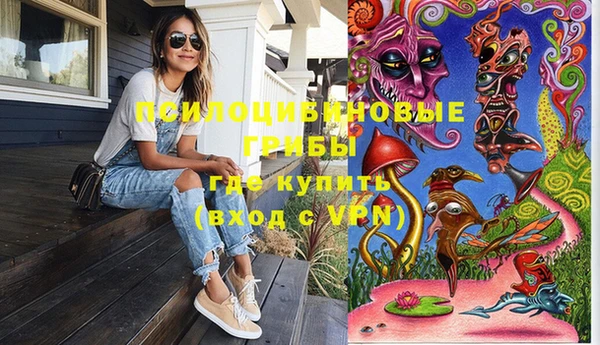 трава Сясьстрой