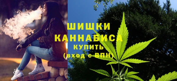 гашик Тайга