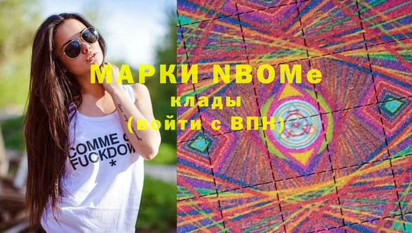 трава Сясьстрой