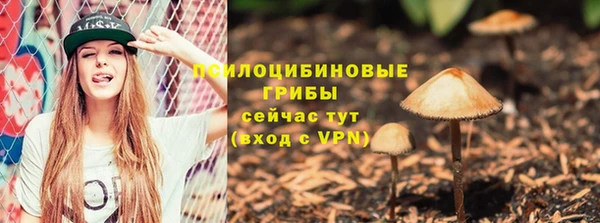 гашик Тайга
