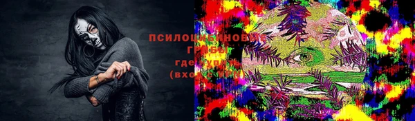 гашик Тайга