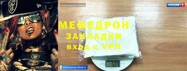 гашик Тайга