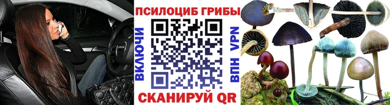 Псилоцибиновые грибы Psilocybe  MEGA ссылка  Усолье-Сибирское 
